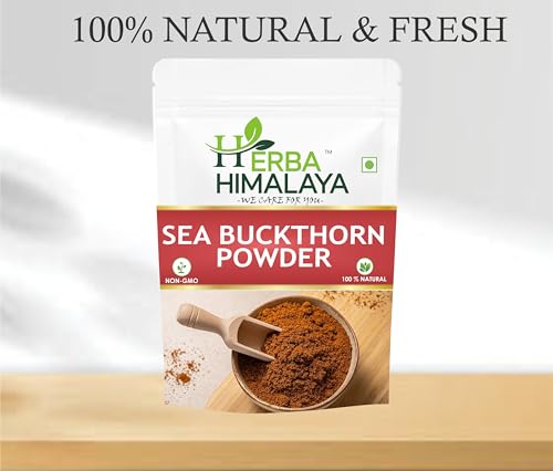 Herba Himalaya Sourced from Ladakh Pure Sea Buckthorn Berry Powder Natural Dried Superfruit Rich in Omega Fatty Acids with Vitamin C and E (100 gm)|B0FP64T9CG