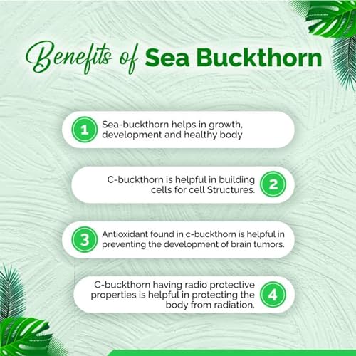 Herba Himalaya Sourced from Ladakh Pure Sea Buckthorn Berry Powder Natural Dried Superfruit Rich in Omega Fatty Acids with Vitamin C and E (100 gm)|B0FP64T9CG