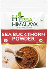 Herba Himalaya Sourced from Ladakh Pure Sea Buckthorn Berry Powder Natural Dried Superfruit Rich in Omega Fatty Acids with Vitamin C and E (100 gm)