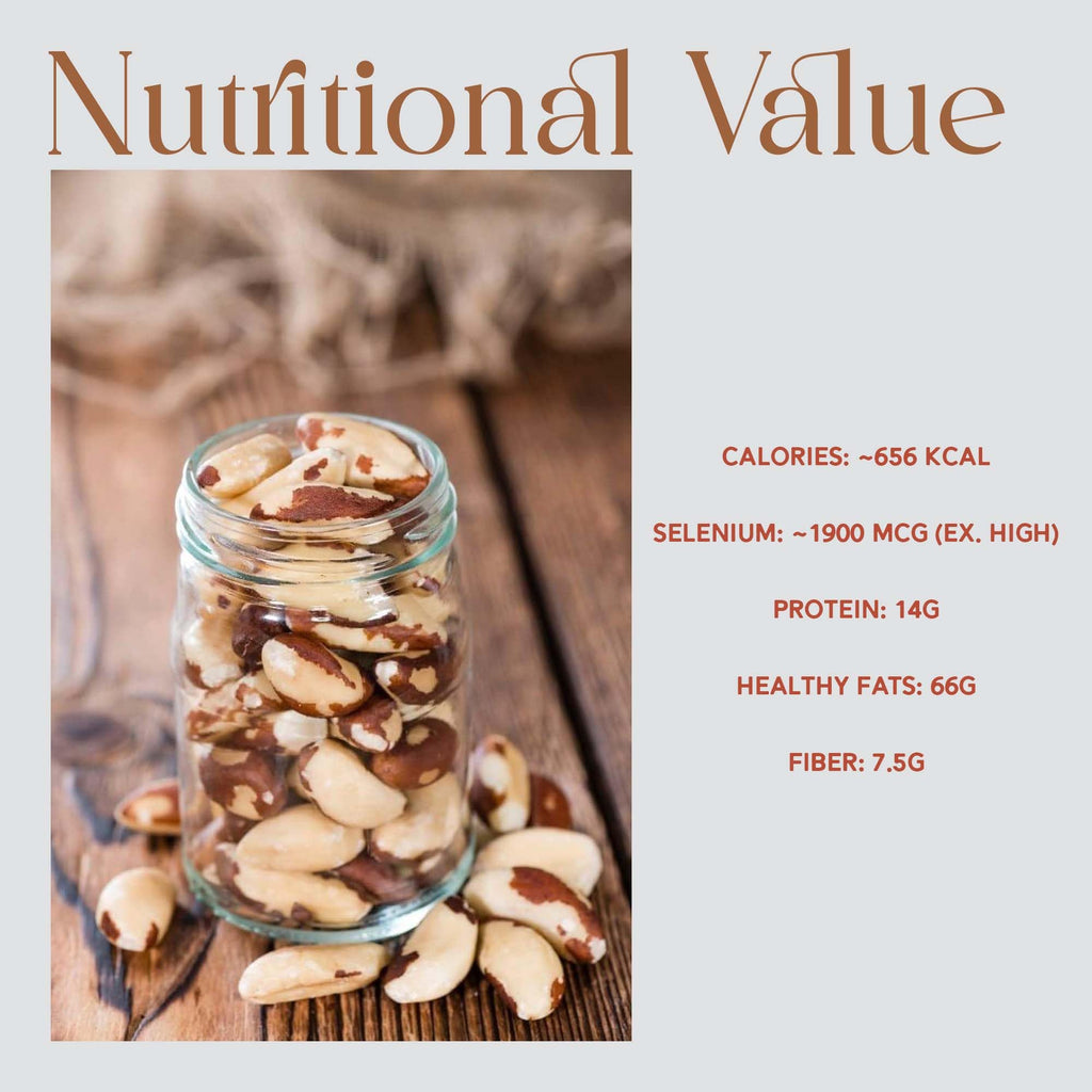 Herba Himalaya Brazilian Nuts | Premium Superfood Crunchy | Rich in Selenium Perfect for Smoothies ,Baking ,Healthy Recipes