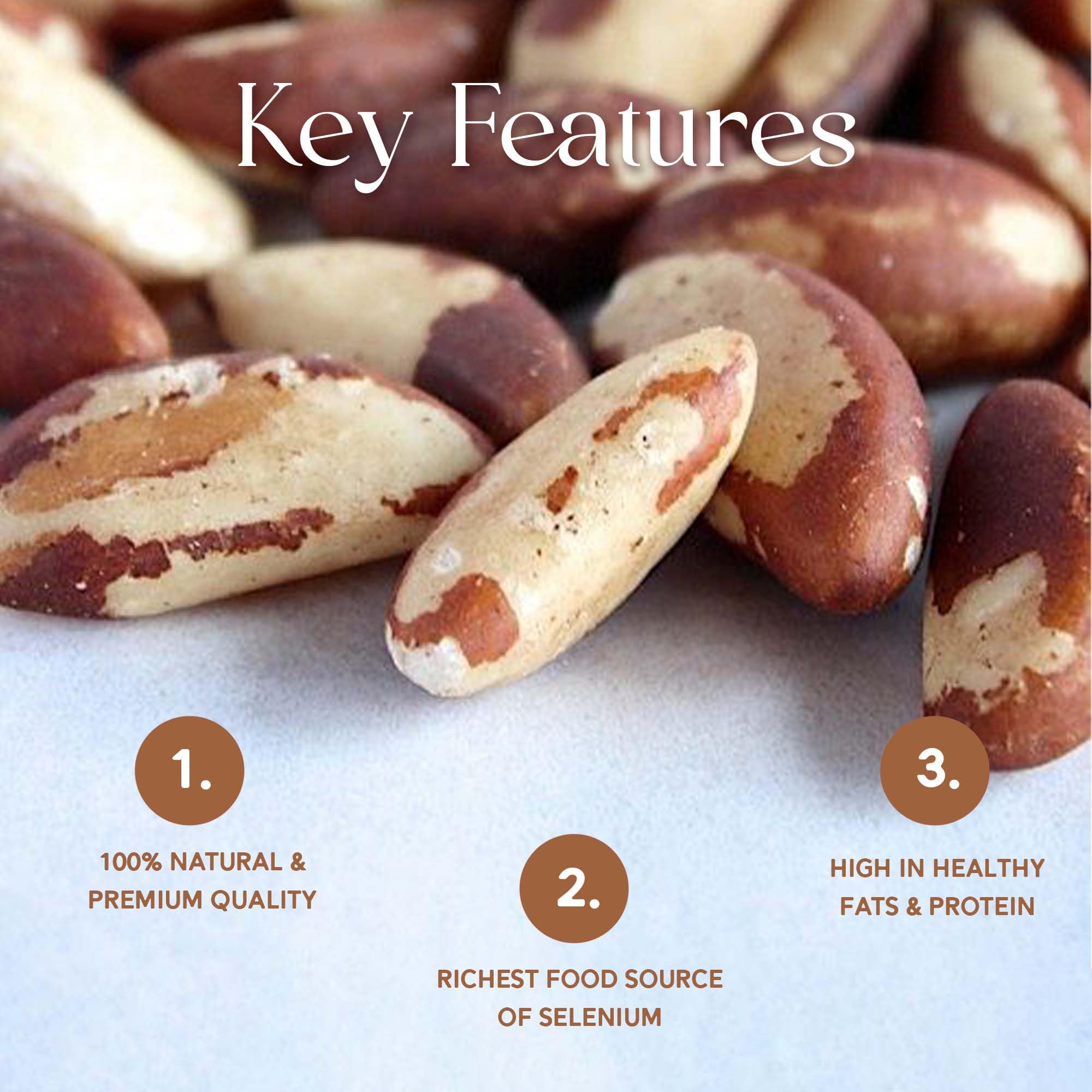 Herba Himalaya Brazilian Nuts | Premium Superfood Crunchy | Rich in Selenium Perfect for Smoothies ,Baking ,Healthy Recipes
