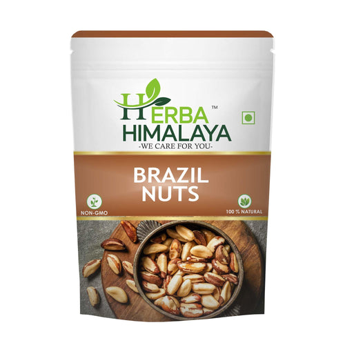Herba Himalaya Brazilian Nuts | Premium Superfood Crunchy | Rich in Selenium Perfect for Smoothies ,Baking ,Healthy Recipes