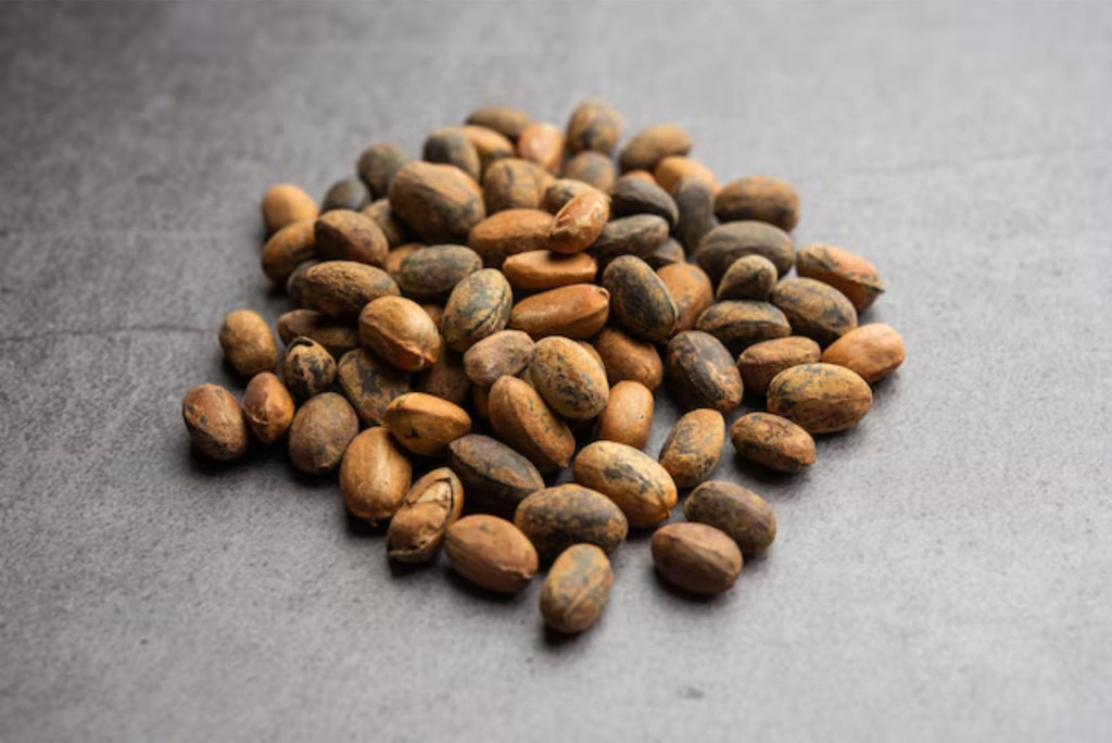 Herba Himalaya Jamalgota Seeds For Hair -Croton Tiglium Seed |
