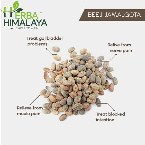 Herba Himalaya Jamalgota Seeds For Hair -Croton Tiglium Seed |