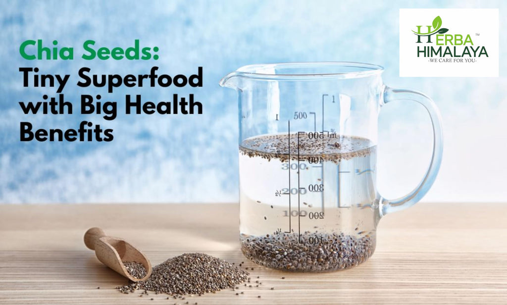 Herba Himalaya Chia Seed | Seeds for Weight Management | Rich in Calcium, Protein & Fiber, Omega 3 and Antioxidant |