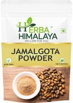 Herba Himalaya Jamalgota Hair Growth Powder – 100% Natural Thicker Hair | Hair Growth | Controls Hair Fall Powder