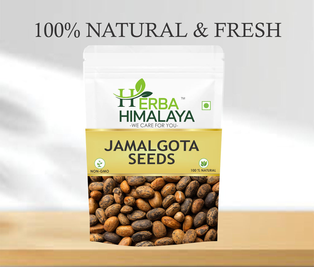 Herba Himalaya Jamalgota Seeds For Hair -Croton Tiglium Seed |