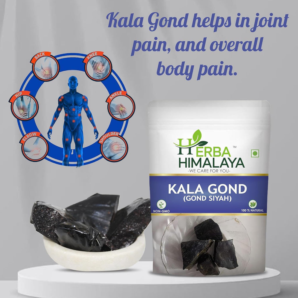 Herba Himalaya Kala Gond 200g Natural Gond Siyah Black