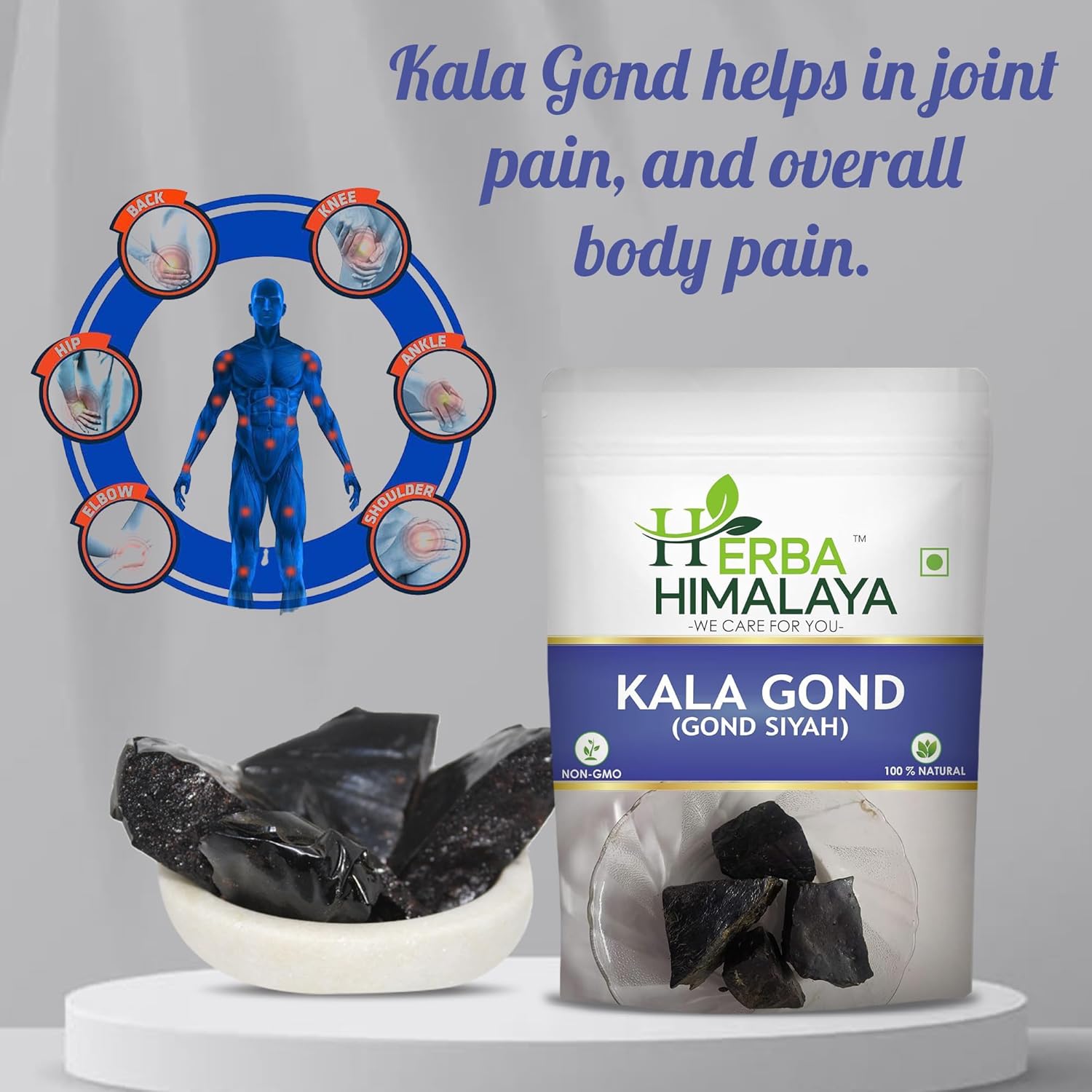 Herba Himalaya Kala Gond 200g Natural Gond Siyah Black
