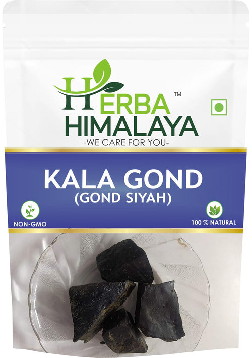 Herba Himalaya Natural Gond Siyah Black Gum Asli Kala Gond Lab Tested and Certified Premium Ingredient Perfect for Traditional Sweets Beverages Recipes