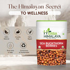Herba Himalaya Pure Sea Buckthorn Berries