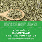 Herba Himalaya Rosemary Leaves | Use Seasoning, Leaf Tea, Rosemary Water & Oil, (100% Natural) For Hair Growth
