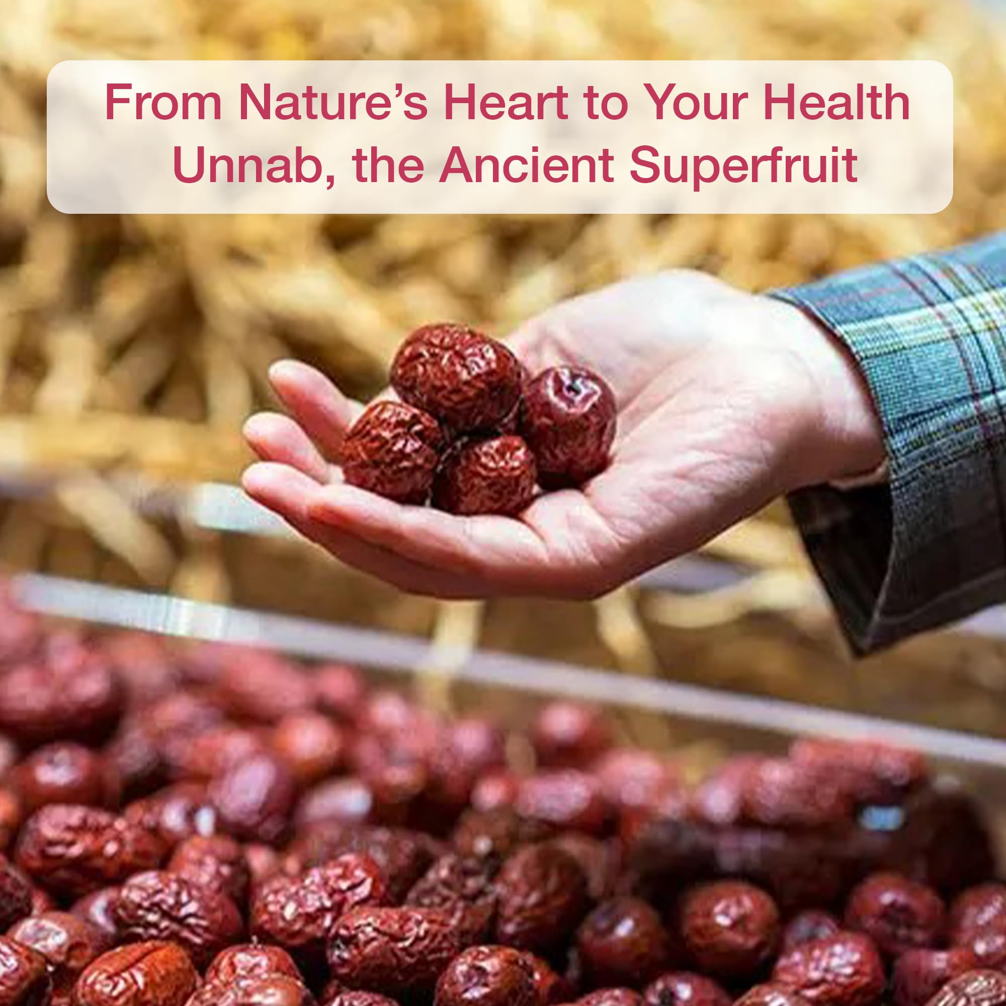 Herba Himalaya Unnab Ber | Unnab Ber Red Dry |