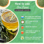 Herba Himalaya Rosemary Leaves | Use Seasoning, Leaf Tea, Rosemary Water & Oil, (100% Natural) For Hair Growth