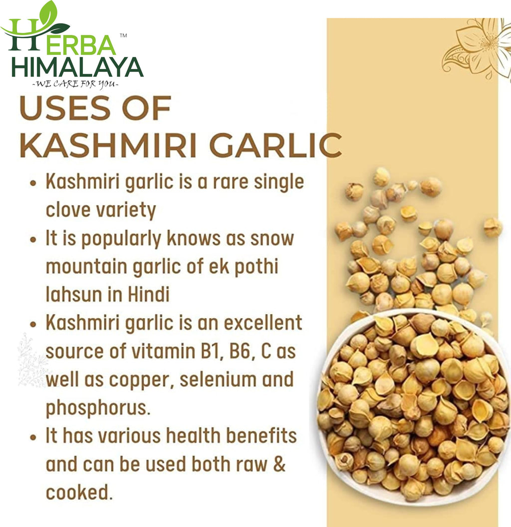 Herba Himalaya Kashmiri Clove Kashmiri Lehsun Single Clove, Fresh & Natural Snow Mountain Lehsun