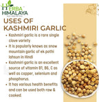 Herba Himalaya Kashmiri Clove Kashmiri Lehsun Single Clove, Fresh & Natural Snow Mountain Lehsun