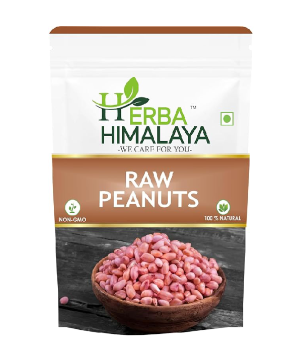 New Project (15) New Project (15)