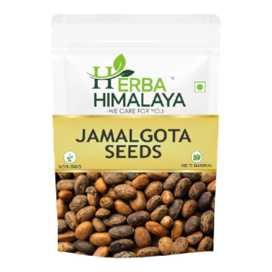 Herba Himalaya Jamalgota Seeds For Hair - Croton Seed | Croton Tiglium Seed | Jamalghota Seed | Jamalgota Beej | Jamalghota Beej | Jamal gota Seeds | Make Paste (50 gm)